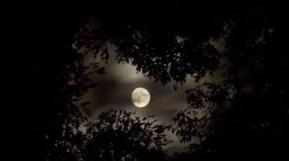 আজ বছরের দীর্ঘতম রাত