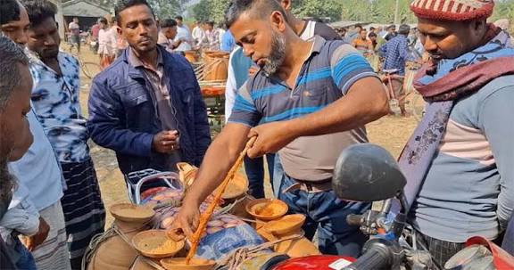 দেশের গন্ডি পেরিয়ে ইউরোপ-আমেরিকায় যাচ্ছে ঝিনাইদহের গুড়