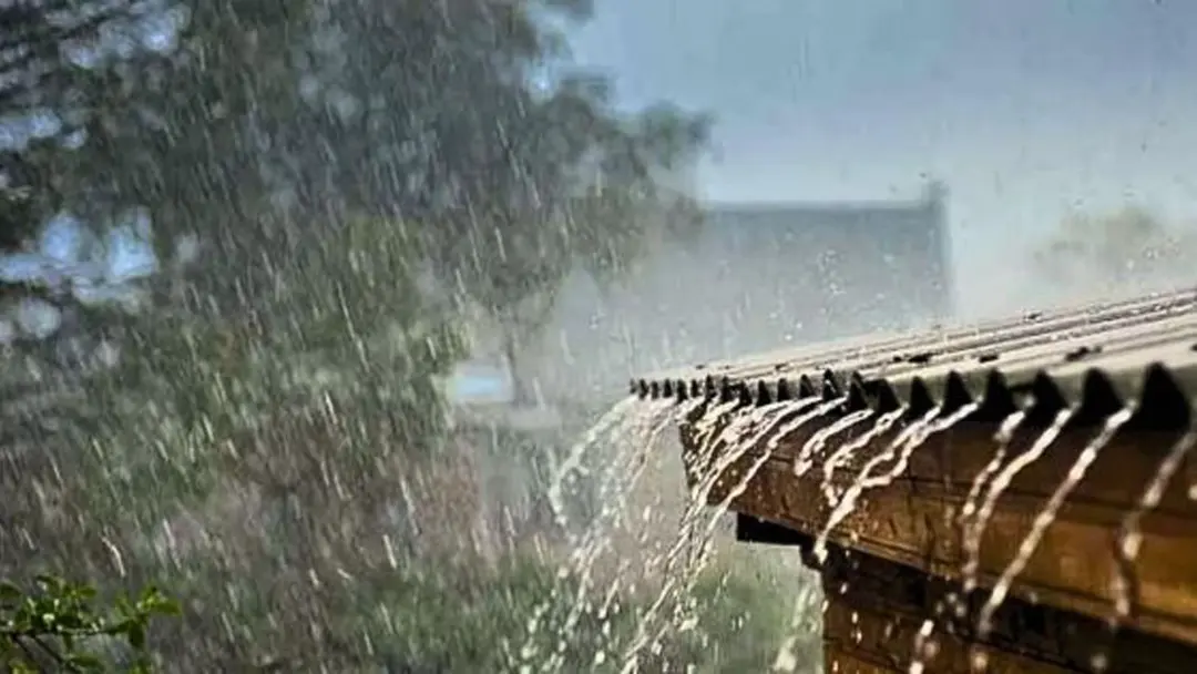 সব বিভাগেই বৃষ্টির আভাস, কোথাও কোথাও ভারী বর্ষণ